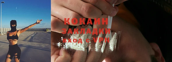 эйфоретик Арсеньев