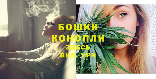 эйфоретик Арсеньев